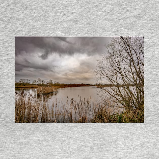 A view across Rockland Broad, Norfolk by yackers1